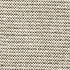 Coastline Bay Outdoor Loveseat with Cushion - Alexander's Furniture (Blairsville, GA)