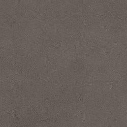 Darcy Loveseat - Alexander's Furniture (Blairsville, GA)