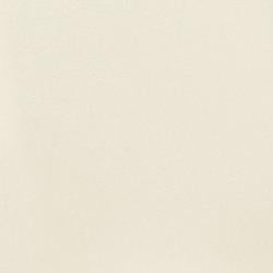 Kimonte Dining Chair Set - Alexander's Furniture (Blairsville, GA)