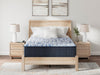 Firm Luxe 2.0 Mattress - Alexander's Furniture (Blairsville, GA)