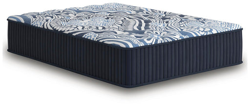 Firm Luxe 2.0 Mattress - Alexander's Furniture (Blairsville, GA)