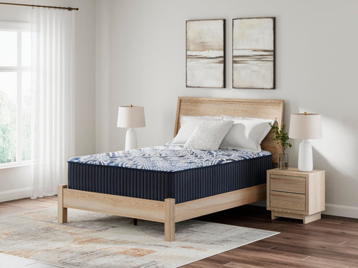 Firm Luxe 2.0 Mattress - Alexander's Furniture (Blairsville, GA)