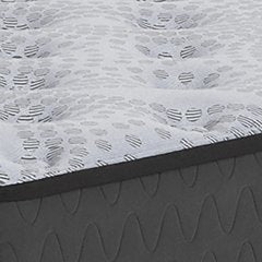 Comfort Plus Mattress - Alexander's Furniture (Blairsville, GA)