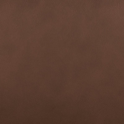 Pincara Power AutoGlide Recliner - Alexander's Furniture (Blairsville, GA)
